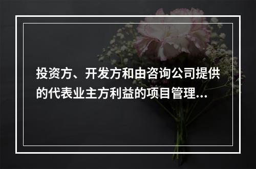 投资方、开发方和由咨询公司提供的代表业主方利益的项目管理服务