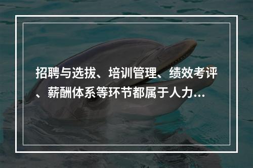 招聘与选拔、培训管理、绩效考评、薪酬体系等环节都属于人力资源