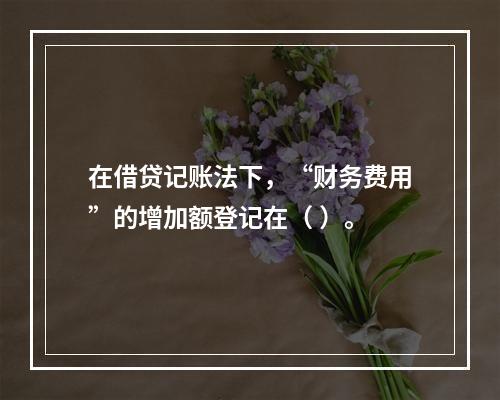 在借贷记账法下，“财务费用”的增加额登记在（ ）。