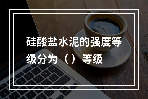 硅酸盐水泥的强度等级分为（ ）等级