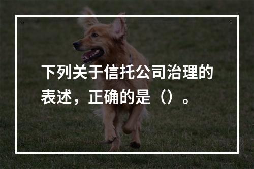 下列关于信托公司治理的表述，正确的是（）。