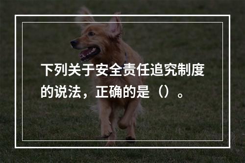 下列关于安全责任追究制度的说法，正确的是（）。