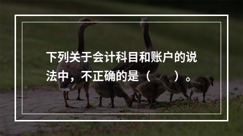 下列关于会计科目和账户的说法中，不正确的是（　　）。