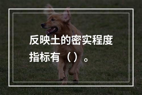 反映土的密实程度指标有（ ）。