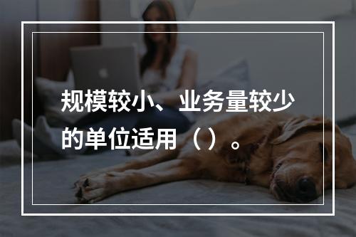 规模较小、业务量较少的单位适用（ ）。