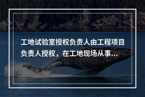 工地试验室授权负责人由工程项目负责人授权，在工地现场从事工地