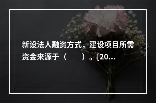 新设法人融资方式，建设项目所需资金来源于（　　）。[201