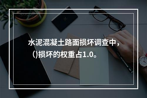 水泥混凝土路面损坏调查中，（)损坏的权重占1.0。