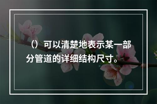 （）可以清楚地表示某一部分管道的详细结构尺寸。