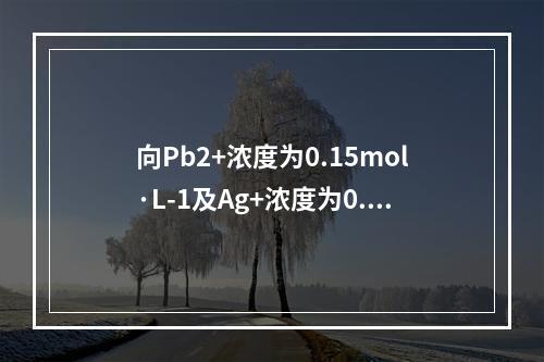 向Pb2+浓度为0.15mol·L-1及Ag+浓度为0.2