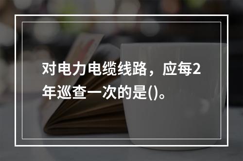 对电力电缆线路，应每2年巡查一次的是()。