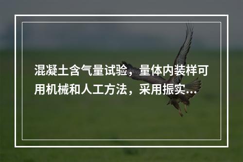 混凝土含气量试验，量体内装样可用机械和人工方法，采用振实台，