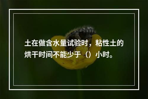 土在做含水量试验时，粘性土的烘干时间不能少于（）小时。