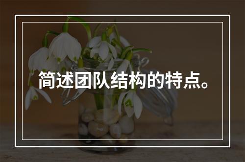 简述团队结构的特点。