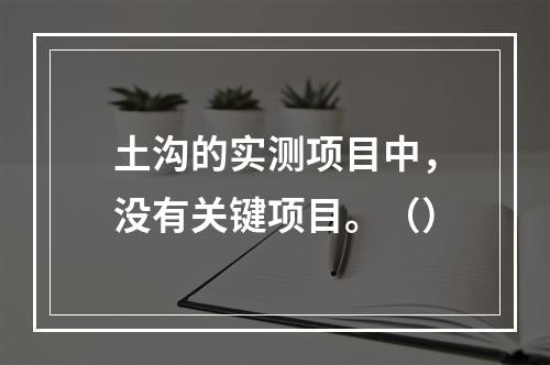 土沟的实测项目中，没有关键项目。（）