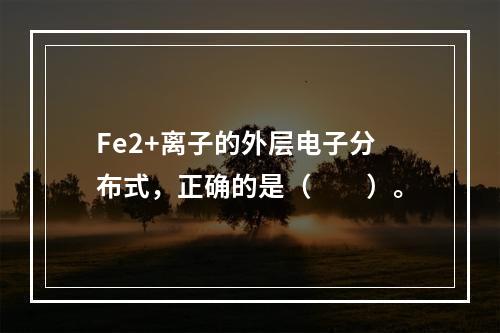 Fe2+离子的外层电子分布式，正确的是（　　）。