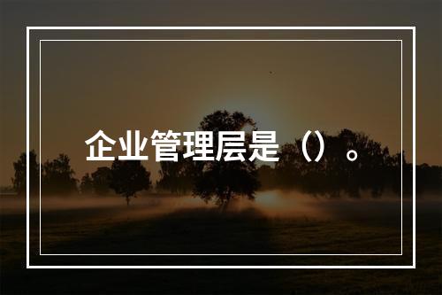 企业管理层是（）。