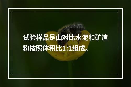 试验样品是由对比水泥和矿渣粉按照体积比1:1组成。