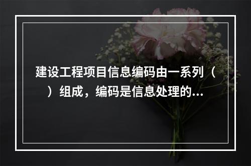 建设工程项目信息编码由一系列（　）组成，编码是信息处理的一项