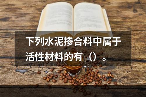 下列水泥掺合料中属于活性材料的有（）。