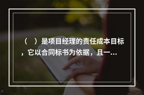 （　）是项目经理的责任成本目标，它以合同标书为依据，且一般情