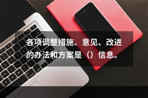 各项调整措施、意见、改进的办法和方案是（）信息。