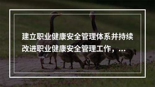 建立职业健康安全管理体系并持续改进职业健康安全管理工作，应坚