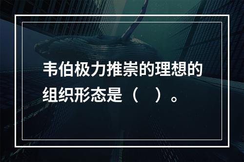 韦伯极力推崇的理想的组织形态是（　）。