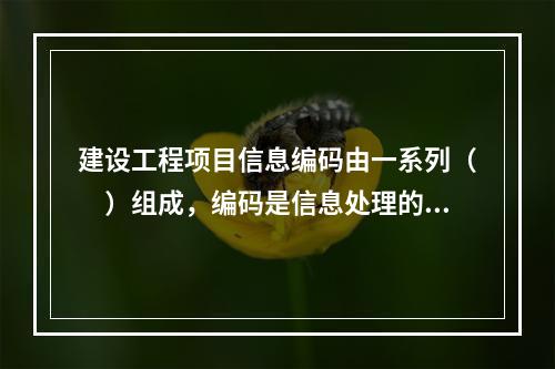 建设工程项目信息编码由一系列（　）组成，编码是信息处理的一项