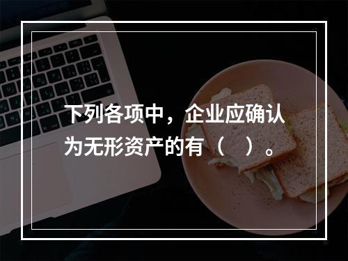 下列各项中，企业应确认为无形资产的有（　）。