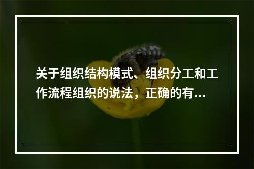 关于组织结构模式、组织分工和工作流程组织的说法，正确的有（　