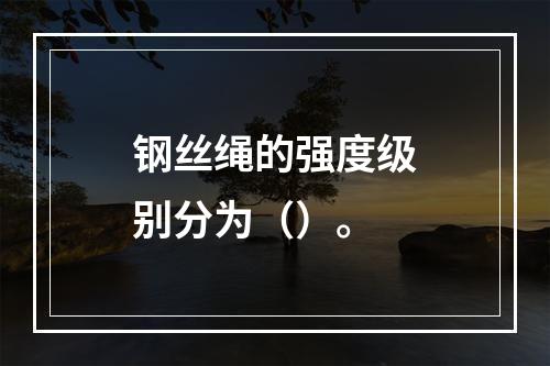 钢丝绳的强度级别分为（）。