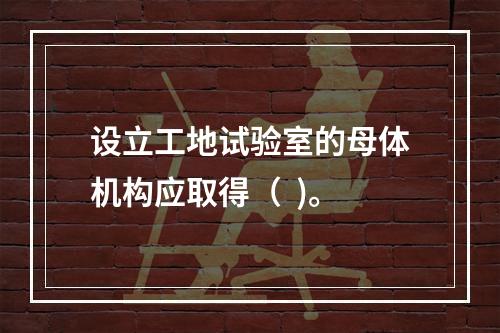 设立工地试验室的母体机构应取得（  )。