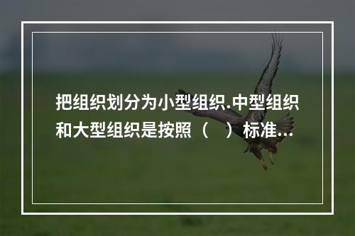 把组织划分为小型组织.中型组织和大型组织是按照（　）标准划分