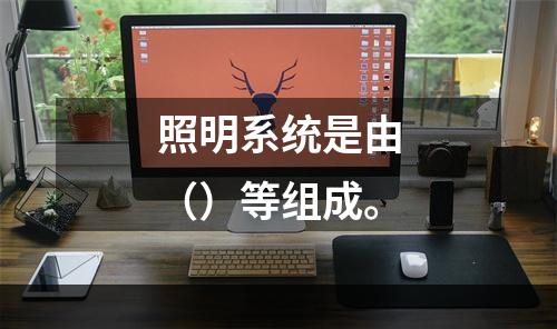 照明系统是由（）等组成。