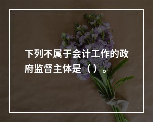 下列不属于会计工作的政府监督主体是（ ）。