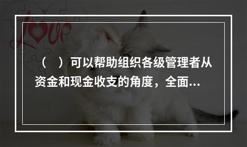 （　）可以帮助组织各级管理者从资金和现金收支的角度，全面.细