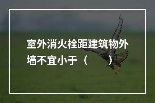 室外消火栓距建筑物外墙不宜小于（  ）