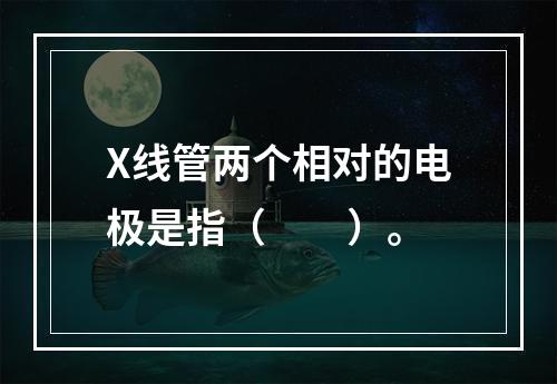 X线管两个相对的电极是指（　　）。