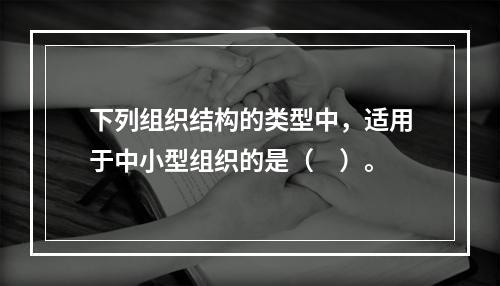 下列组织结构的类型中，适用于中小型组织的是（　）。