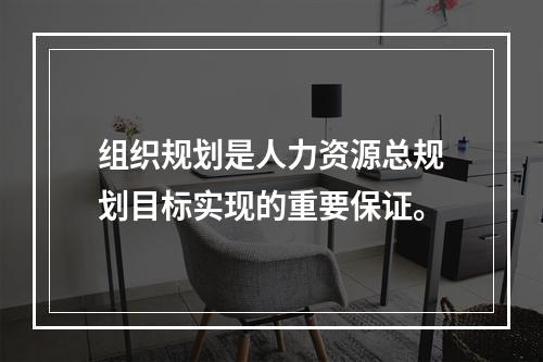 组织规划是人力资源总规划目标实现的重要保证。