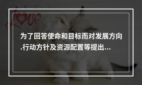 为了回答使命和目标而对发展方向.行动方针及资源配置等提出的总