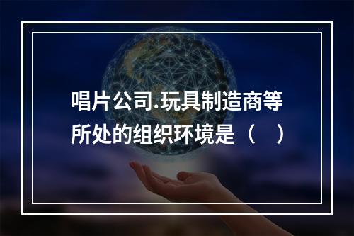 唱片公司.玩具制造商等所处的组织环境是（　）