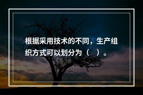 根据采用技术的不同，生产组织方式可以划分为（　）。