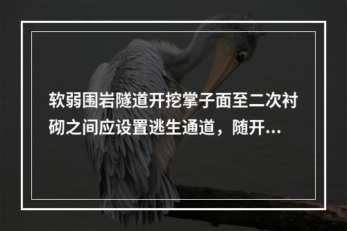 软弱围岩隧道开挖掌子面至二次衬砌之间应设置逃生通道，随开挖进