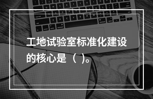 工地试验室标准化建设的核心是（  )。