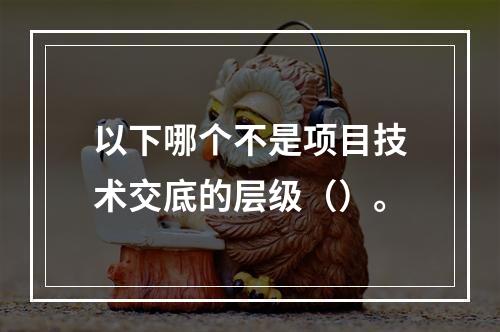 以下哪个不是项目技术交底的层级（）。