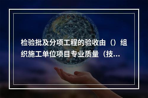 检验批及分项工程的验收由（）组织施工单位项目专业质量（技术）