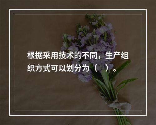 根据采用技术的不同，生产组织方式可以划分为（　）。