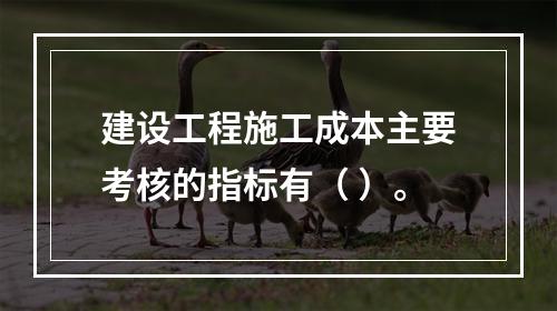 建设工程施工成本主要考核的指标有（ ）。